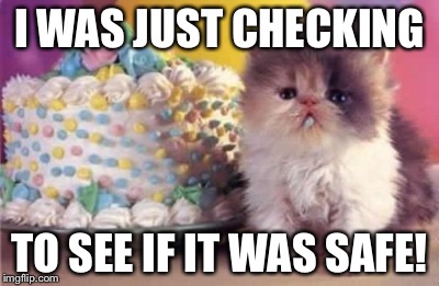 birthday kitten | I WAS JUST CHECKING; TO SEE IF IT WAS SAFE! | image tagged in birthday kitten | made w/ Imgflip meme maker