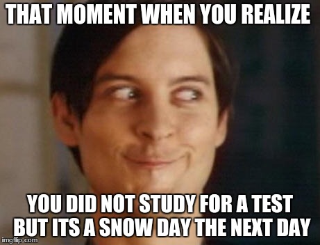 Spiderman Peter Parker | THAT MOMENT WHEN YOU REALIZE; YOU DID NOT STUDY FOR A TEST BUT ITS A SNOW DAY THE NEXT DAY | image tagged in memes,spiderman peter parker | made w/ Imgflip meme maker