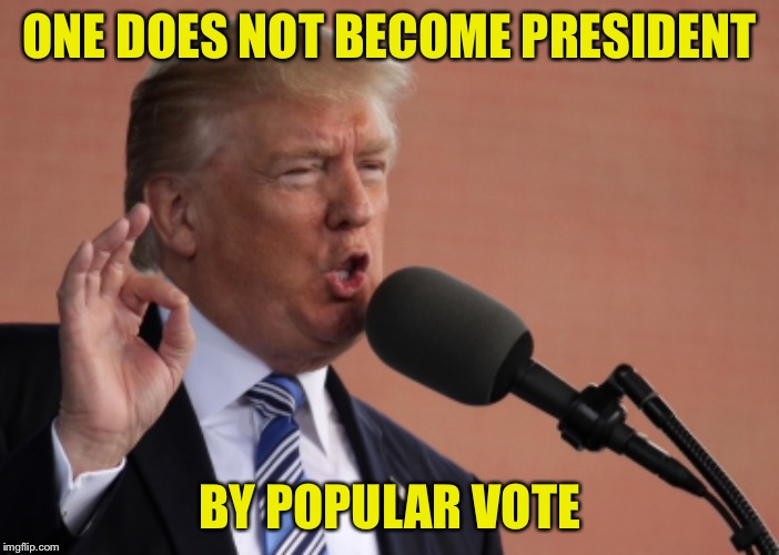 ONE DOES NOT BECOME PRESIDENT BY POPULAR VOTE | made w/ Imgflip meme maker