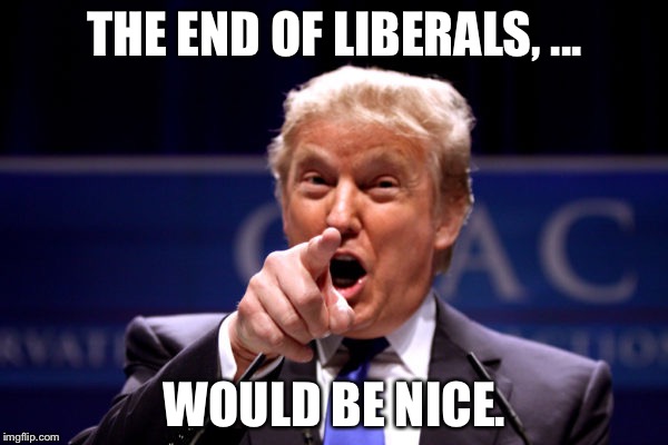 Your President BWHA-HA-HA! | THE END OF LIBERALS, ... WOULD BE NICE. | image tagged in your president bwha-ha-ha | made w/ Imgflip meme maker