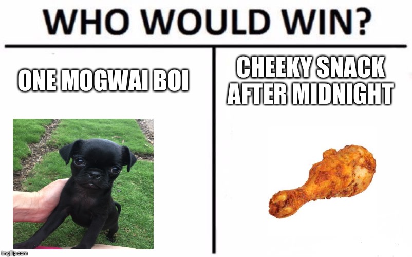 Who Would Win? Meme | ONE MOGWAI BOI; CHEEKY SNACK AFTER MIDNIGHT | image tagged in memes,who would win | made w/ Imgflip meme maker