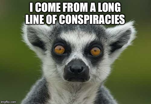 Lemur | I COME FROM A LONG LINE OF CONSPIRACIES | image tagged in lemur | made w/ Imgflip meme maker