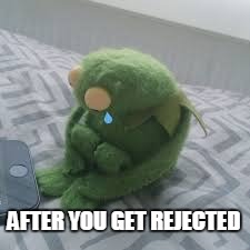 Rejection be like | AFTER YOU GET REJECTED | image tagged in rejected,rejection,no girlfriend,do you know da wae,kermit the frog,sad kermit | made w/ Imgflip meme maker