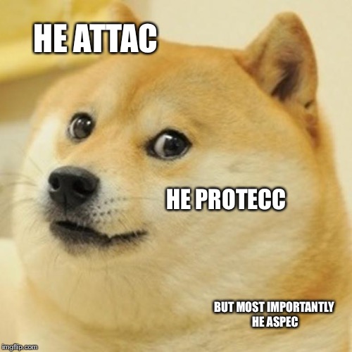 Doge Meme | HE ATTAC; HE PROTECC; BUT MOST IMPORTANTLY HE ASPEC | image tagged in memes,doge | made w/ Imgflip meme maker