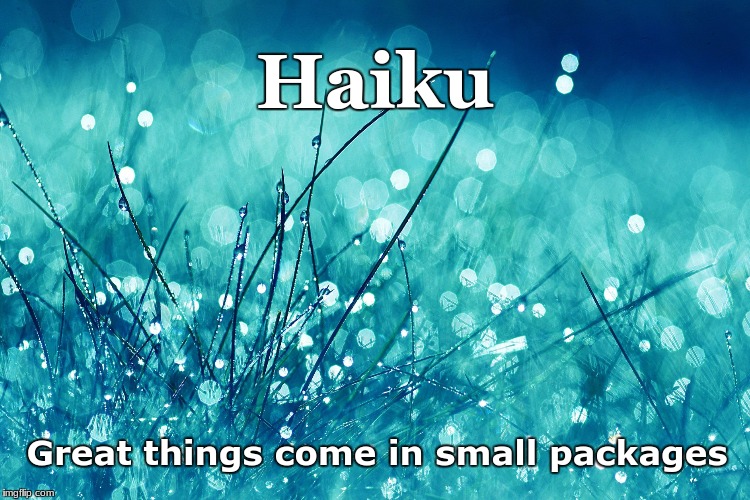 Poetry | Haiku; Great things come in small packages | image tagged in poem,art,basho,japan,tao,philosophy | made w/ Imgflip meme maker