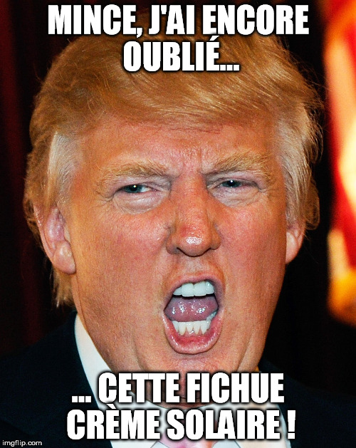 Donald Trump I Will Duck You Up | MINCE, J'AI ENCORE OUBLIÉ... ... CETTE FICHUE CRÈME SOLAIRE ! | image tagged in donald trump i will duck you up | made w/ Imgflip meme maker