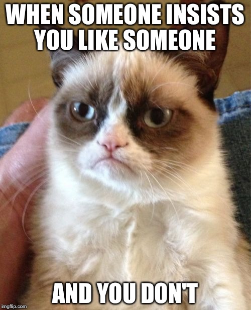 ...except instead I kicked her. | WHEN SOMEONE INSISTS YOU LIKE SOMEONE; AND YOU DON'T | image tagged in memes,grumpy cat,crush | made w/ Imgflip meme maker