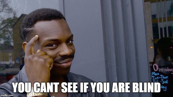 Roll Safe Think About It Meme | YOU CANT SEE IF YOU ARE BLIND | image tagged in memes,roll safe think about it | made w/ Imgflip meme maker