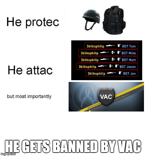 he protec | HE GETS BANNED BY VAC | image tagged in he protec | made w/ Imgflip meme maker