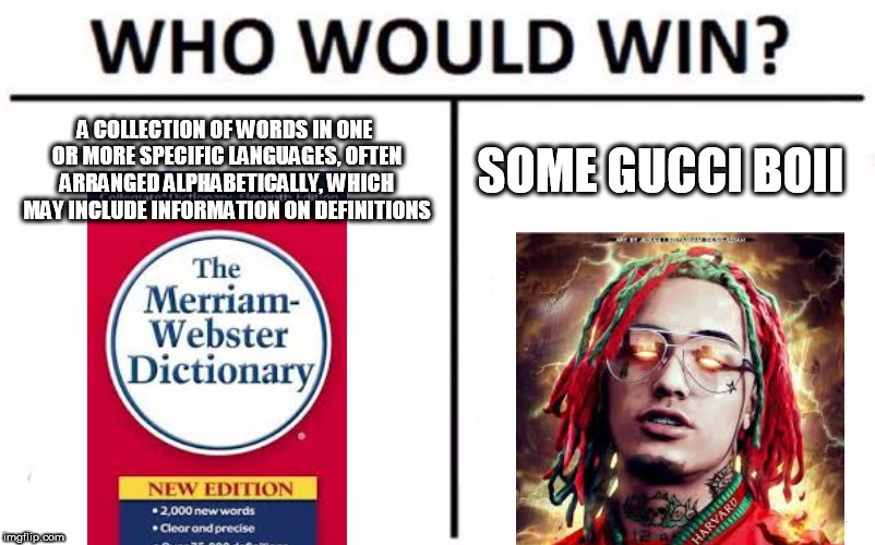 Who Would Win? | A COLLECTION OF WORDS IN ONE OR MORE SPECIFIC LANGUAGES, OFTEN ARRANGED ALPHABETICALLY, WHICH MAY INCLUDE INFORMATION ON DEFINITIONS; SOME GUCCI BOII | image tagged in memes,who would win | made w/ Imgflip meme maker