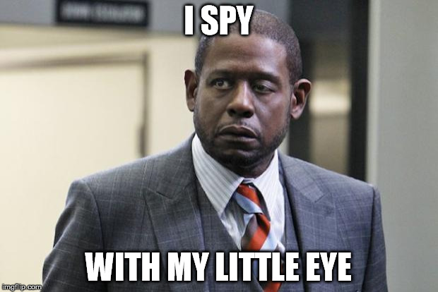 something blue | I SPY; WITH MY LITTLE EYE | image tagged in forest whitaker,little,eye | made w/ Imgflip meme maker