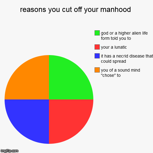 reasons you cut off your manhood | you of a sound mind "chose" to, it has a necrid disease that could spread, your a lunatic, god or a highe | image tagged in funny,pie charts | made w/ Imgflip chart maker