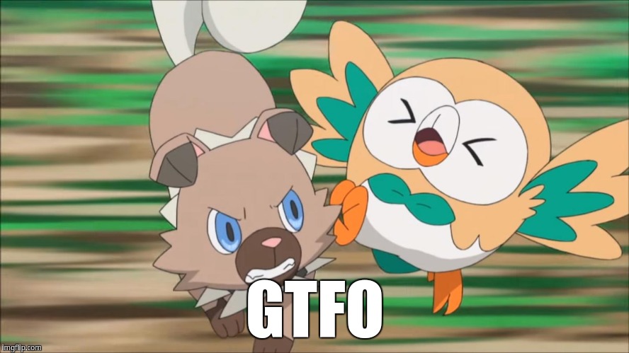 GTFO | GTFO | image tagged in rockruff attacks rowlet | made w/ Imgflip meme maker