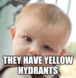Skeptical Baby Meme | THEY HAVE YELLOW HYDRANTS | image tagged in memes,skeptical baby | made w/ Imgflip meme maker