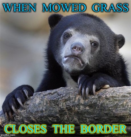Confession Bear Meme | WHEN  MOWED  GRASS; CLOSES  THE  BORDER | image tagged in memes,confession bear | made w/ Imgflip meme maker