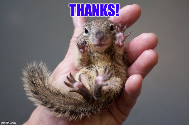 THANKS! | made w/ Imgflip meme maker