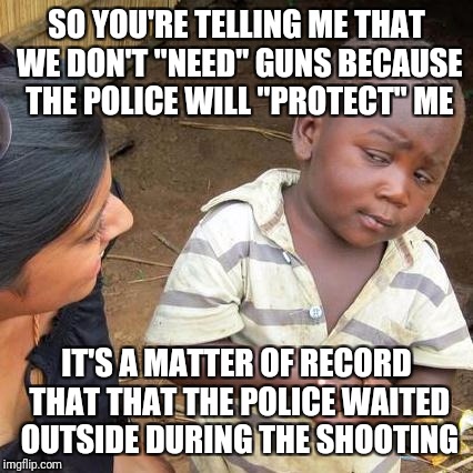 The police is just a clean up crew, you have the right to be able to defend yourself | SO YOU'RE TELLING ME THAT WE DON'T "NEED" GUNS BECAUSE THE POLICE WILL "PROTECT" ME; IT'S A MATTER OF RECORD THAT THAT THE POLICE WAITED OUTSIDE DURING THE SHOOTING | image tagged in memes,third world skeptical kid | made w/ Imgflip meme maker