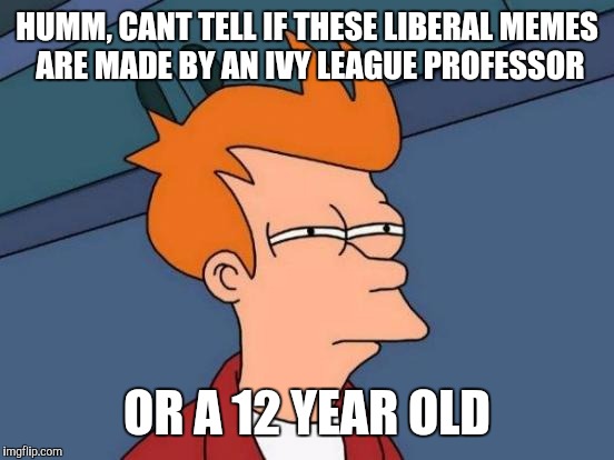 Futurama Fry | HUMM, CANT TELL IF THESE LIBERAL MEMES ARE MADE BY AN IVY LEAGUE PROFESSOR; OR A 12 YEAR OLD | image tagged in memes,futurama fry | made w/ Imgflip meme maker