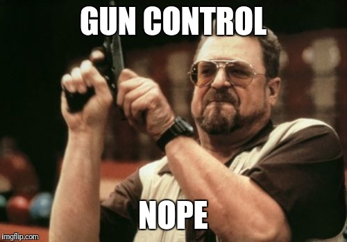 Am I The Only One Around Here Meme | GUN CONTROL; NOPE | image tagged in memes,am i the only one around here | made w/ Imgflip meme maker