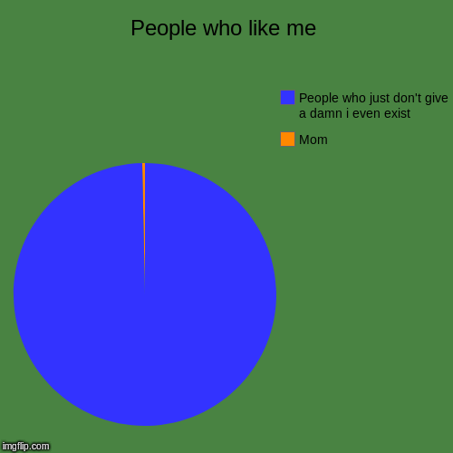 Average italian's life | People who like me | Mom, People who just don't give a damn i even exist | image tagged in funny,pie charts,italian,italians,italian life,mother | made w/ Imgflip chart maker