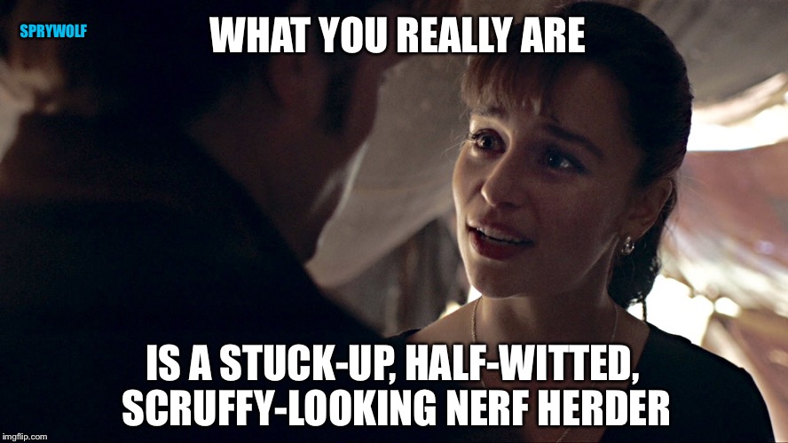 Qi'ra Knows | SPRYWOLF; WHAT YOU REALLY ARE; IS A STUCK-UP, HALF-WITTED, SCRUFFY-LOOKING NERF HERDER | image tagged in qi'ra,han solo,nerf herder,star wars,star wars meme | made w/ Imgflip meme maker