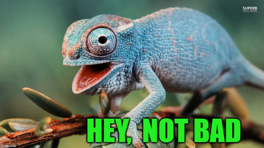 HEY,  NOT BAD | made w/ Imgflip meme maker