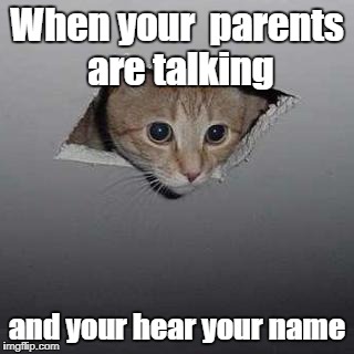 Ceiling Cat Meme | When your  parents are talking; and your hear your name | image tagged in memes,ceiling cat | made w/ Imgflip meme maker