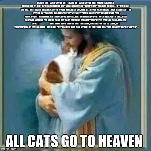All Cats Go To Heaven | I KNOW THAT LOSING YOUR CAT IS HARD BUT LOSING YOUR BEST FRIEND IS HARDER I KNOW BUT WE JUST HAVE TO REMEMBER THEY WOULD WANT YOU TO NOT WORRY BECAUSE GOD CALLED THEM HOME AND THAT THEY WON’T BE FAR AWAY YOU WOULD HEAR THEM SAY,KEEP ME IN YOUR MEMORY AND I WON’T BE FORGOTTEN ,KEEP ME BY YOUR SIDE AND I’LL BE THERE TO STAY,KEEP ME IN YOUR HEART AND I’LL NEVER FADE AWAY ,SO JUST REMEMBER  I’M SAVING YOU A SPECIAL SEAT IN HEAVEN SO DON’T RUSH BECAUSE I’M STILL HERE IN HEAVEN WAITING FOR YOU TO COME BUT DON’T YOU RUSH BECAUSE THERE’S STILL YEARS TO COME-JADA FOX DOOLITTLE   															‘’I’M SAVING YOU A SPECIAL SEAT IN HEAVEN,WAITING FOR YOU TO COME ,BUT THIS TIME I WON’T LOSS YOU LIKE I DID IN THE PAST,BECAUSE THIS TIME WE WILL BE IN HEAVEN TOGETHER,AND NEVER BE SEPARATED.’’; ALL CATS GO TO HEAVEN | image tagged in stairway to heaven | made w/ Imgflip meme maker