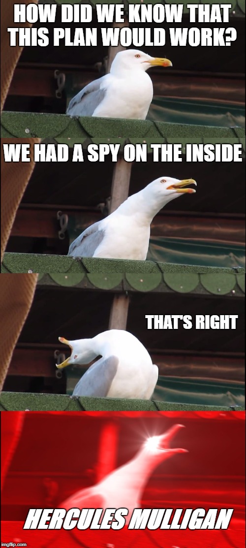Inhaling Seagull | HOW DID WE KNOW THAT THIS PLAN WOULD WORK? WE HAD A SPY ON THE INSIDE; THAT'S RIGHT; HERCULES MULLIGAN | image tagged in memes,inhaling seagull | made w/ Imgflip meme maker