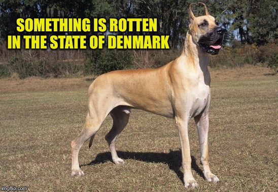 SOMETHING IS ROTTEN IN THE STATE OF DENMARK | made w/ Imgflip meme maker