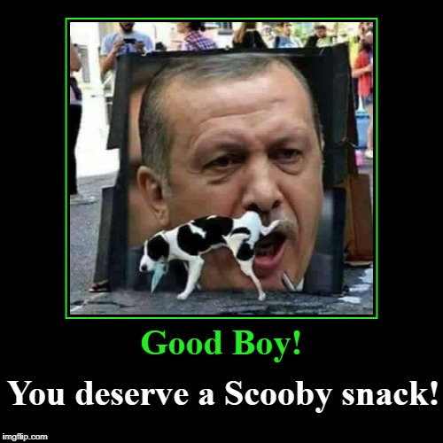 Piss on Broward Sheriff Israel | Good Boy! | You deserve a Scooby snack! | image tagged in funny,demotivationals,good dog,scooby snack | made w/ Imgflip demotivational maker