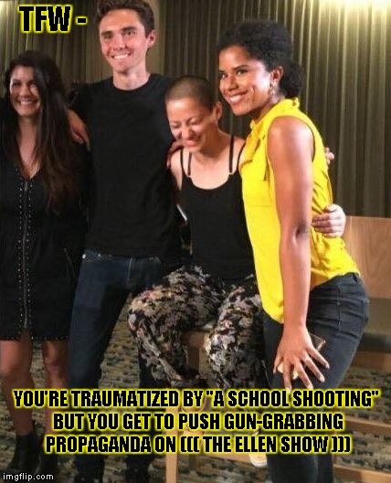 TFW -; YOU'RE TRAUMATIZED BY "A SCHOOL SHOOTING" BUT YOU GET TO PUSH GUN-GRABBING PROPAGANDA ON ((( THE ELLEN SHOW ))) | made w/ Imgflip meme maker