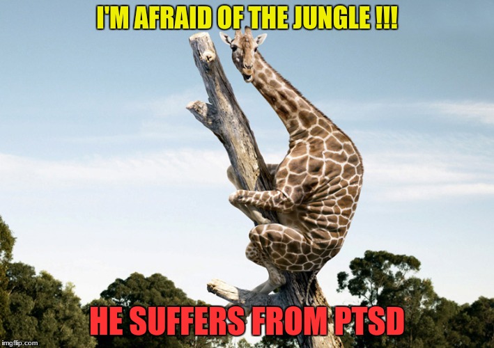 PTSD | I'M AFRAID OF THE JUNGLE !!! HE SUFFERS FROM PTSD | image tagged in jungle,ptsd | made w/ Imgflip meme maker