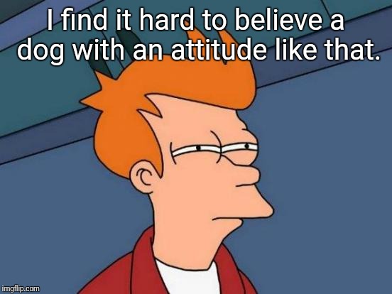 Futurama Fry Meme | I find it hard to believe a dog with an attitude like that. | image tagged in memes,futurama fry | made w/ Imgflip meme maker