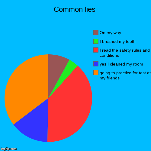 Common lies | going to practice for test at my friends, yes I cleaned my room, I read the safety rules and conditions, I brushed my teeth, O | image tagged in funny,pie charts | made w/ Imgflip chart maker