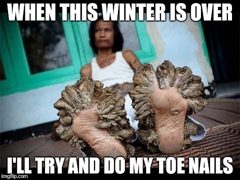 Long winter longer toe nails | WHEN THIS WINTER IS OVER; I'LL TRY AND DO MY TOE NAILS | image tagged in toe,toes,nails,nine inch nails,winter,feet | made w/ Imgflip meme maker