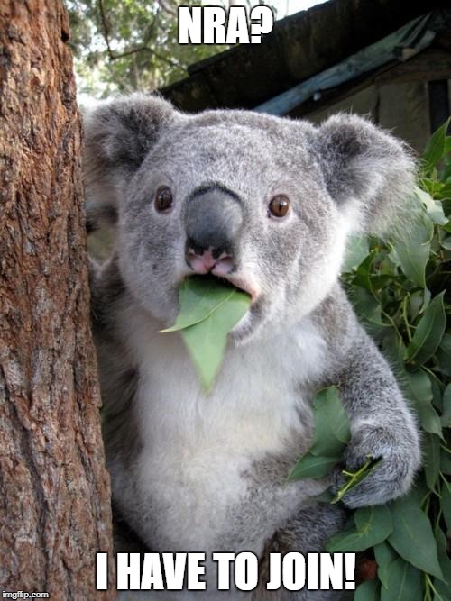 Surprised Koala | NRA? I HAVE TO JOIN! | image tagged in memes,surprised koala | made w/ Imgflip meme maker