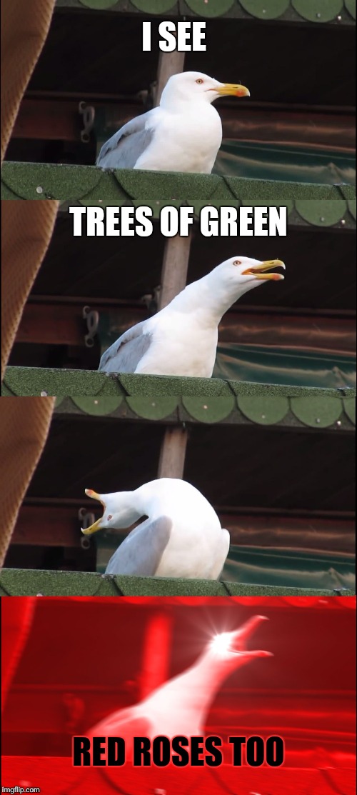 Inhaling Seagull Meme | I SEE; TREES OF GREEN; RED ROSES TOO | image tagged in memes,inhaling seagull | made w/ Imgflip meme maker