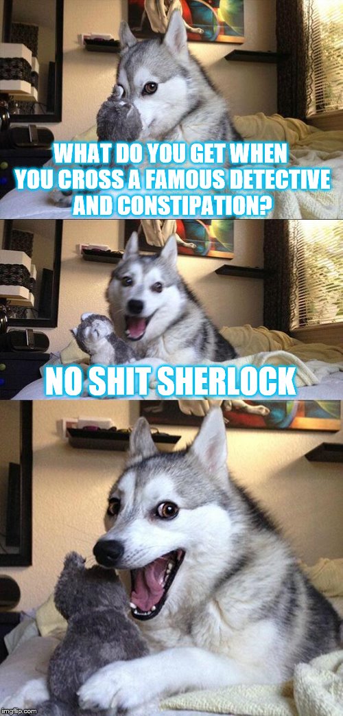 Bad Pun Dog | WHAT DO YOU GET WHEN YOU CROSS A FAMOUS DETECTIVE AND CONSTIPATION? NO SHIT SHERLOCK | image tagged in memes,bad pun dog | made w/ Imgflip meme maker