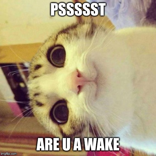 Smiling Cat | PSSSSST; ARE U A WAKE | image tagged in memes,smiling cat | made w/ Imgflip meme maker
