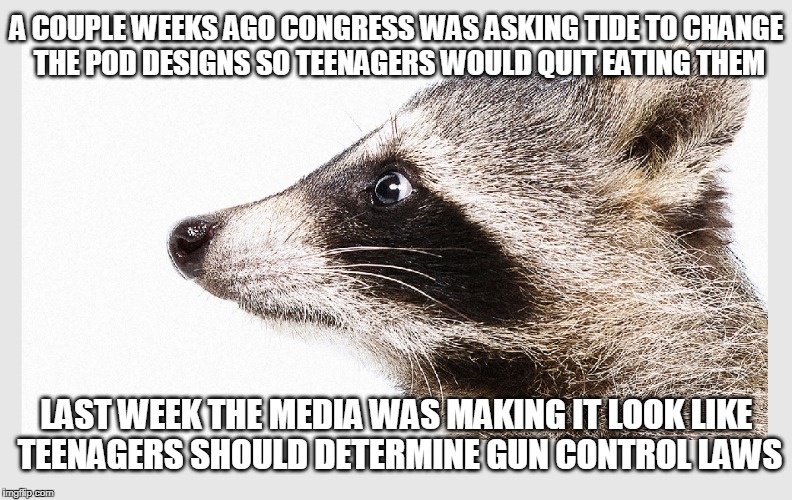 Boycott the fake news outlets! | A COUPLE WEEKS AGO CONGRESS WAS ASKING TIDE TO CHANGE THE POD DESIGNS SO TEENAGERS WOULD QUIT EATING THEM; LAST WEEK THE MEDIA WAS MAKING IT LOOK LIKE TEENAGERS SHOULD DETERMINE GUN CONTROL LAWS | image tagged in msm,mainstream media,gun control,media manipulation | made w/ Imgflip meme maker