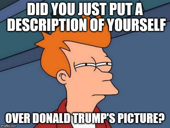 Futurama Fry Meme | DID YOU JUST PUT A DESCRIPTION OF YOURSELF OVER DONALD TRUMP'S PICTURE? | image tagged in memes,futurama fry | made w/ Imgflip meme maker