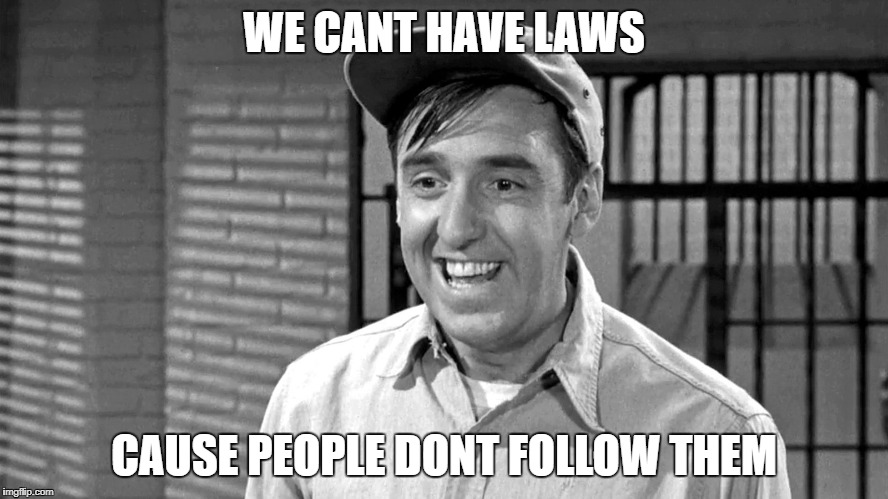 Golly | WE CANT HAVE LAWS CAUSE PEOPLE DONT FOLLOW THEM | image tagged in golly | made w/ Imgflip meme maker