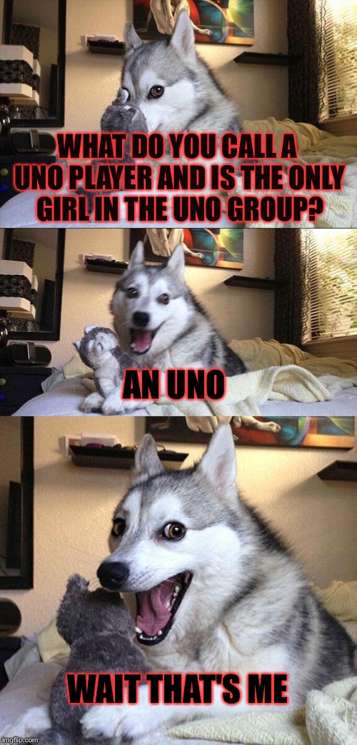 I just relized this today…. | WHAT DO YOU CALL A UNO PLAYER AND IS THE ONLY GIRL IN THE UNO GROUP? AN UNO; WAIT THAT'S ME | image tagged in memes,bad pun dog,meme,uno,deal with it | made w/ Imgflip meme maker