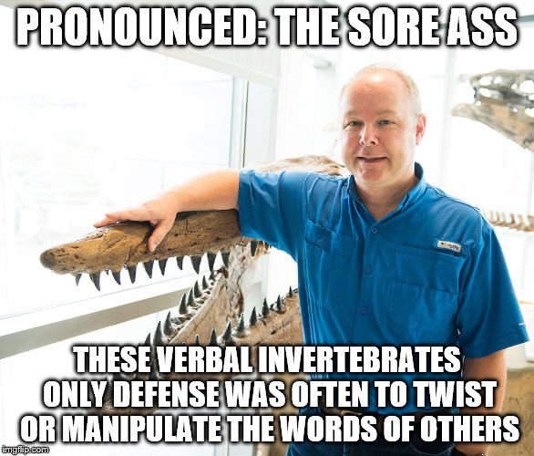 PRONOUNCED: THE SORE ASS THESE VERBAL INVERTEBRATES ONLY DEFENSE WAS OFTEN TO TWIST OR MANIPULATE THE WORDS OF OTHERS | made w/ Imgflip meme maker