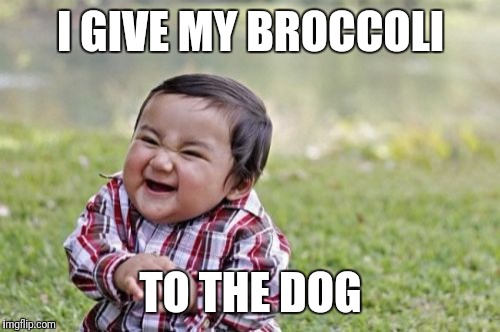 Evil Toddler Meme | I GIVE MY BROCCOLI TO THE DOG | image tagged in memes,evil toddler | made w/ Imgflip meme maker