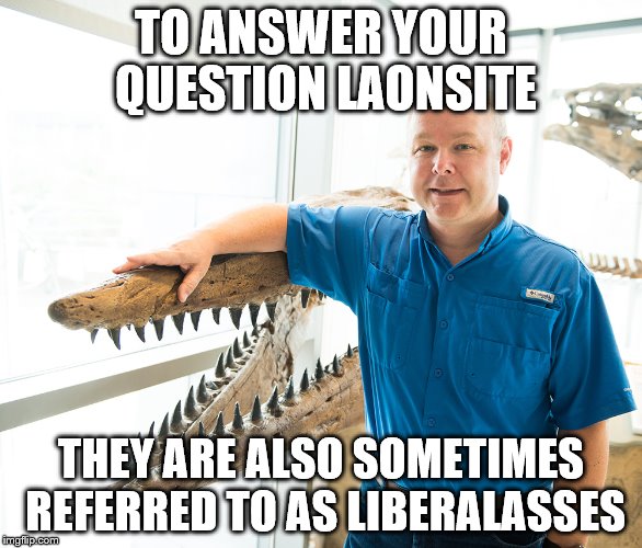 TO ANSWER YOUR QUESTION LAONSITE THEY ARE ALSO SOMETIMES REFERRED TO AS LIBERALASSES | made w/ Imgflip meme maker