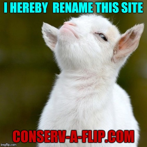 I HEREBY  RENAME THIS SITE; CONSERV-A-FLIP.COM | image tagged in stuck-up goat | made w/ Imgflip meme maker