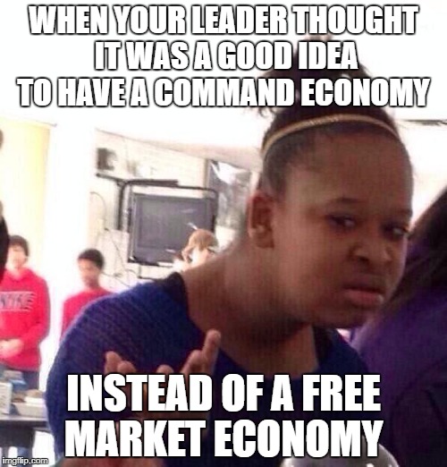 Black Girl Wat Meme | WHEN YOUR LEADER THOUGHT IT WAS A GOOD IDEA TO HAVE A COMMAND ECONOMY; INSTEAD OF A FREE MARKET ECONOMY | image tagged in memes,black girl wat | made w/ Imgflip meme maker