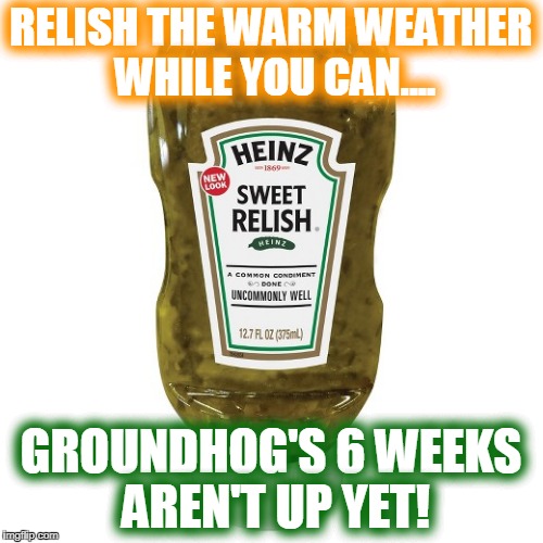 RELISH THE WARM WEATHER WHILE YOU CAN.... GROUNDHOG'S 6 WEEKS AREN'T UP YET! | made w/ Imgflip meme maker